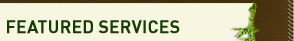 Featured Services
